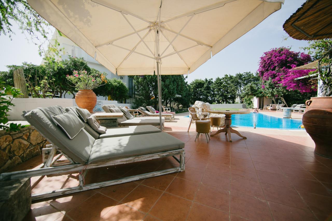 Apartament Gorgona